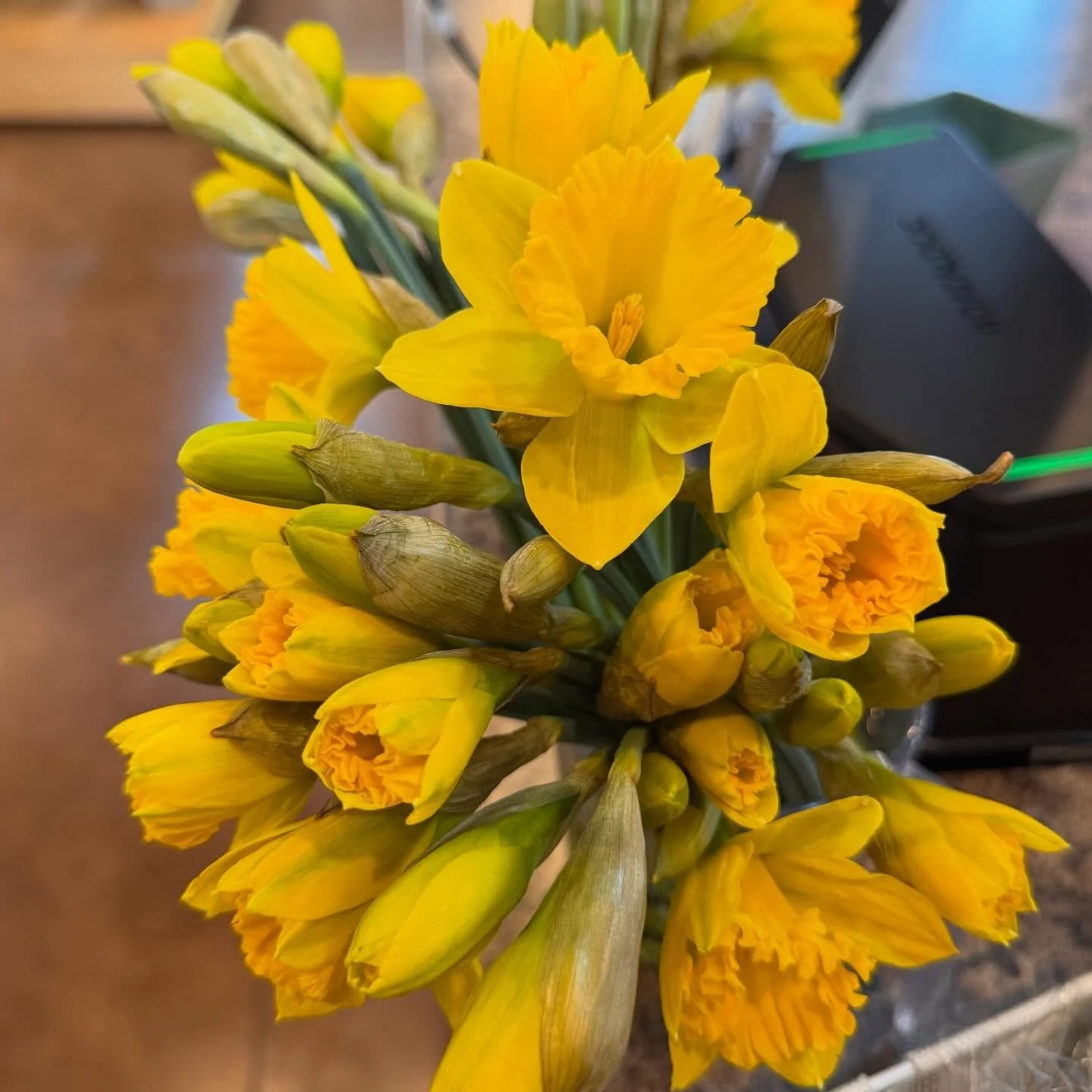 Happy Friday, friends! We're open 930-5 all weekend ☺️
 
💛It may be wintery out there, but fresh daffodils from @longviewfarmsyyj are reminding us that spring is around the corner! Come pick up a bunch to brighten up your day!
 
👉 Our signature gra