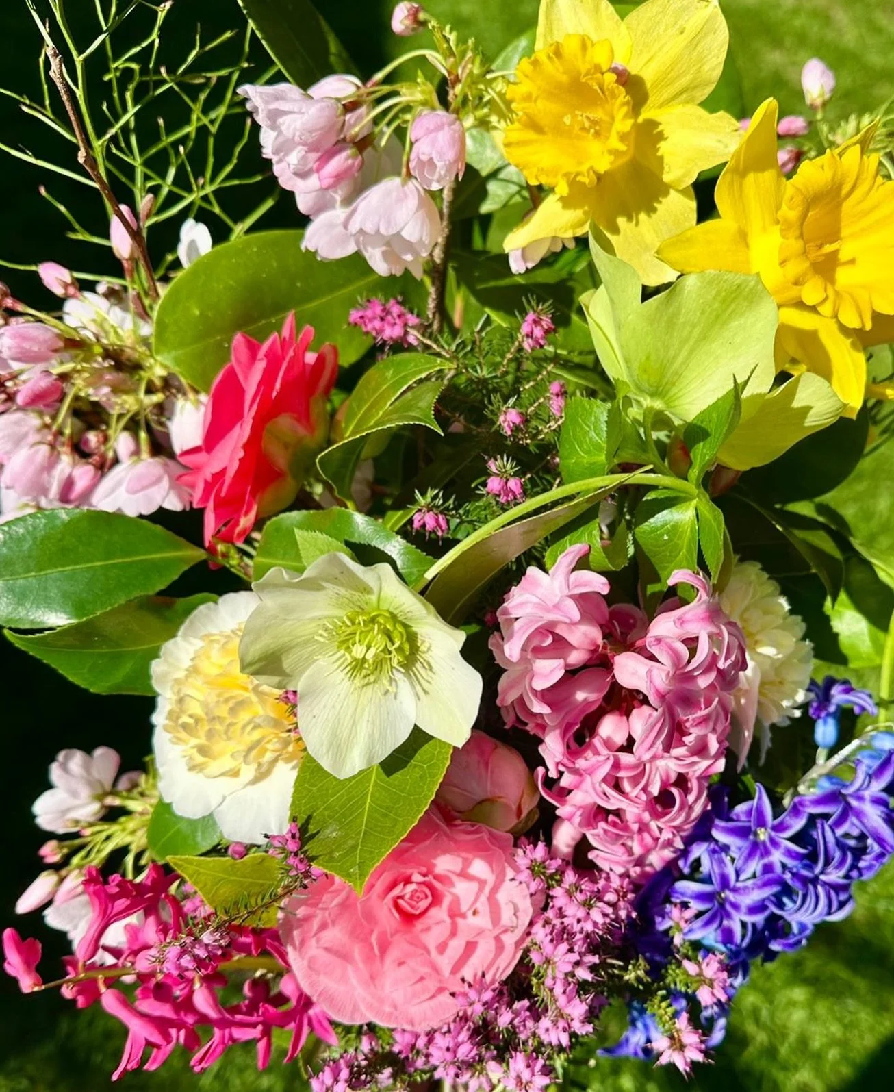 We received a very special Sunday delivery of spring blooms from Terri 😍 available while supplies last - grown right here in Nanoose Bay! 🌸