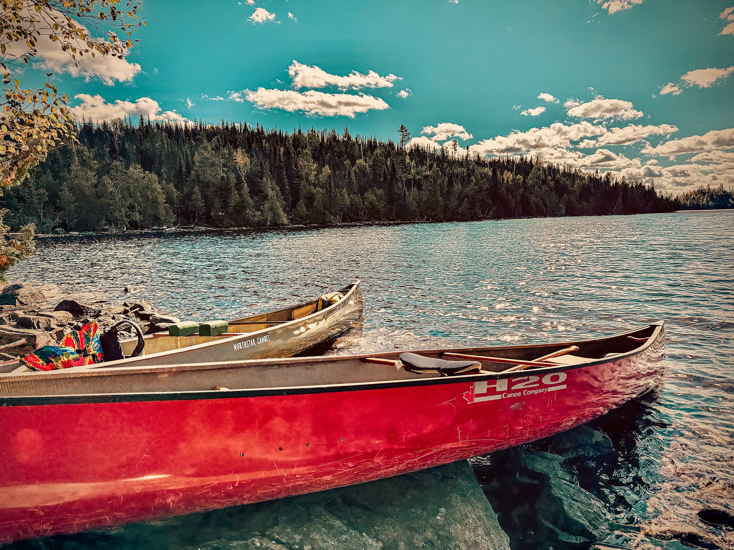 Women’s Rewilding Retreat