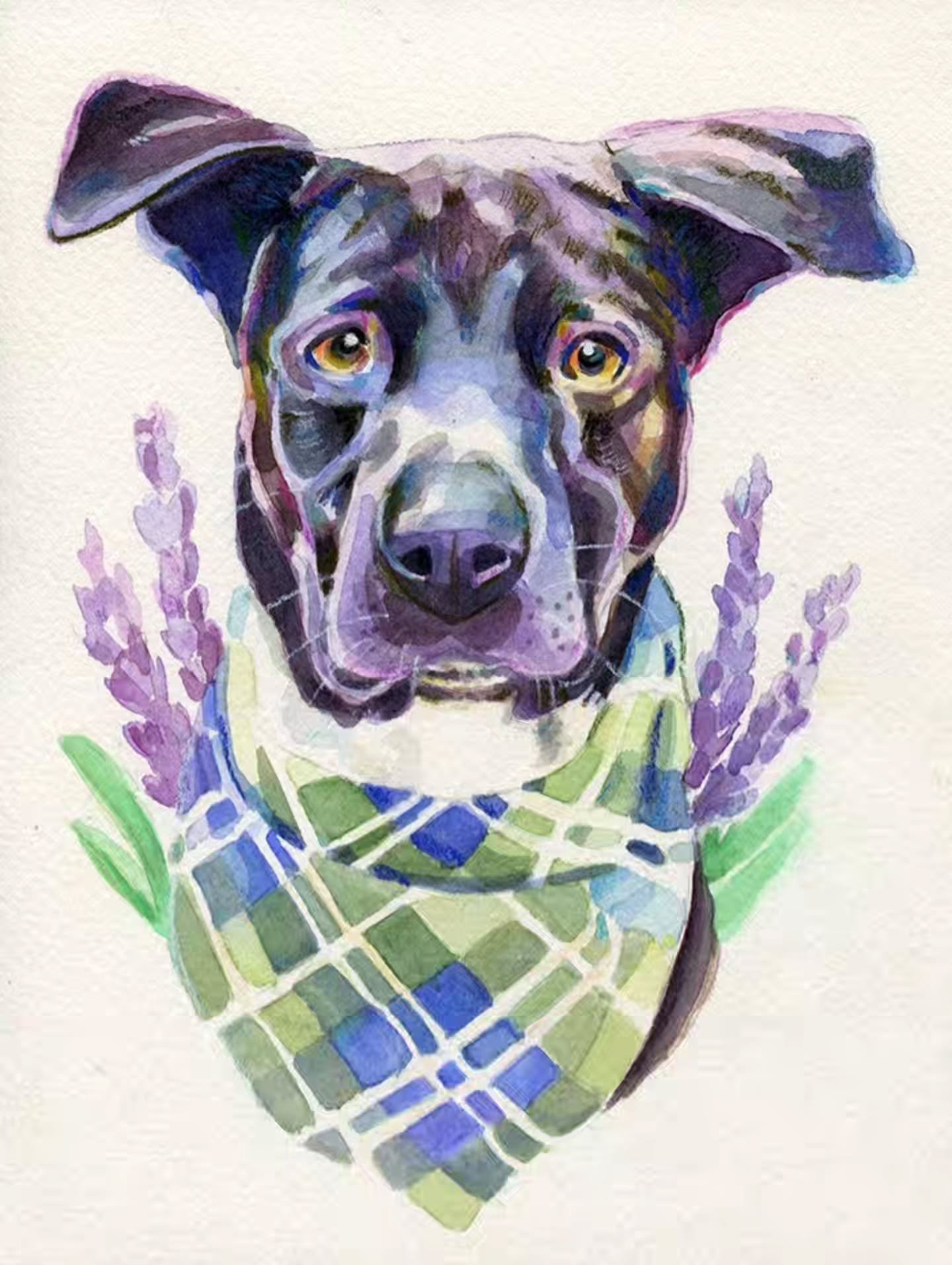 He's a good boy! 🐶🪻✨️

Commissioned by @joshkimsd_

6&times;8 inches watercolor and pencil on cold press watercolor paper.