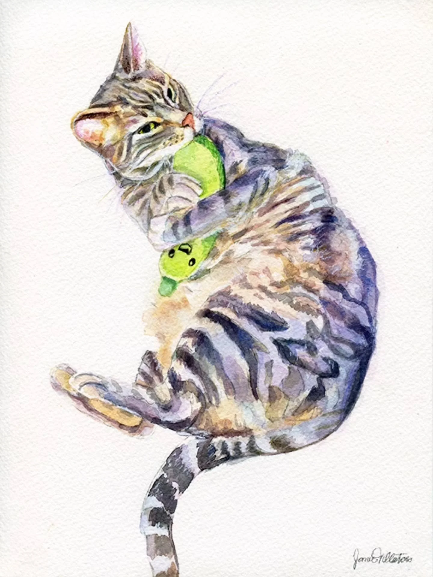 &quot;I'm kind of a big dill&quot; - Bixby
Loved painting this tabby cat.
Thank you, Candace, for trusting me with your boy!

#catartist #catpainting #watercolorcat #watercolorpetportraits #catart
