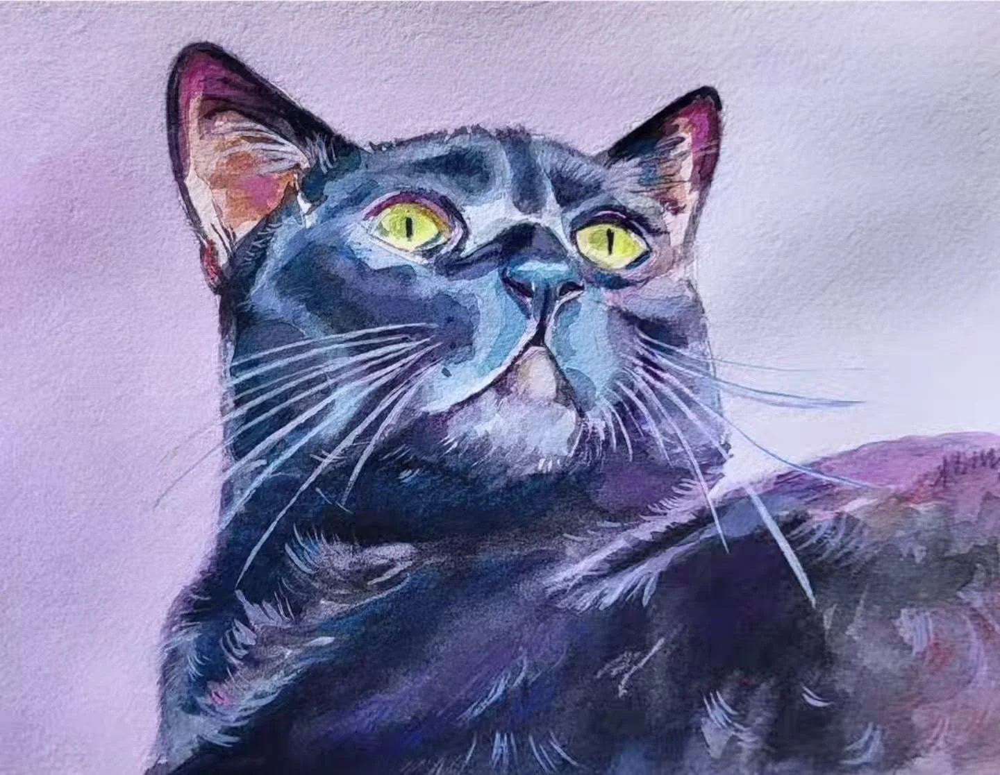 Today is National Black Cat Day, and I&rsquo;m remembering my first black kitty, Kiowa 🖤 It&rsquo;s been 10 years since he passed, but he&rsquo;s still very much with me. A while back, I had the loveliest dream with him. Buddy was in a forest of ill