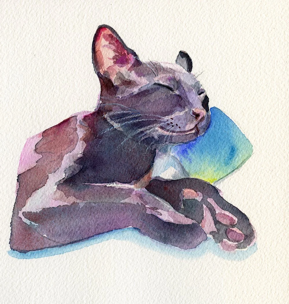Scan_SleepyGams_web 36.jpg