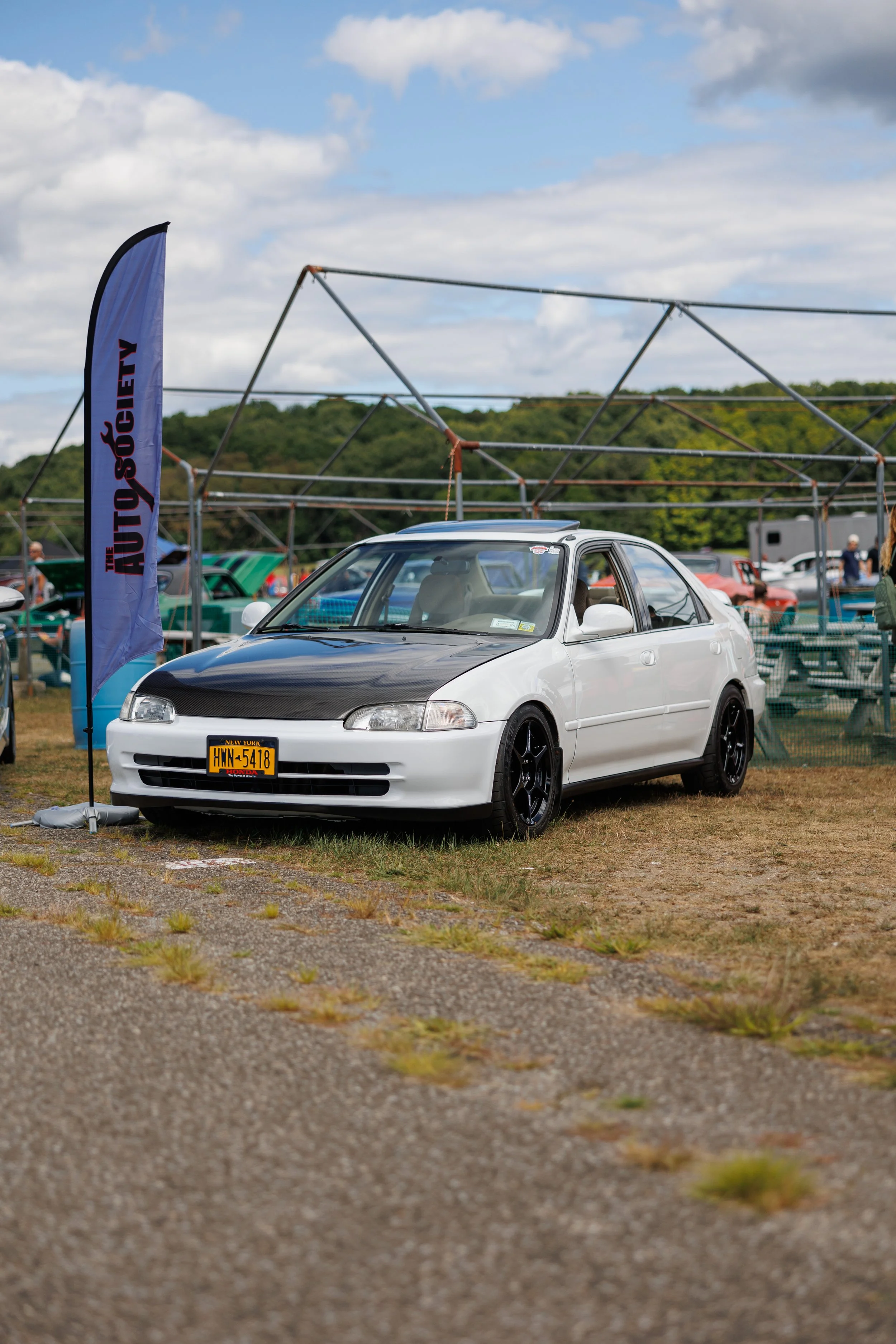 EB8A3336.jpg