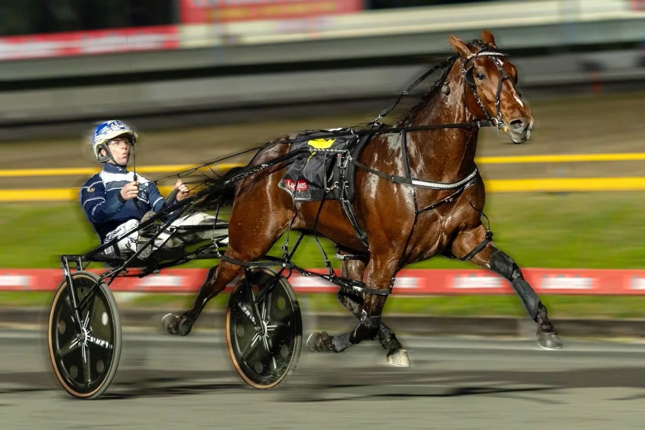 Loucasso sparkles in Newcastle trial