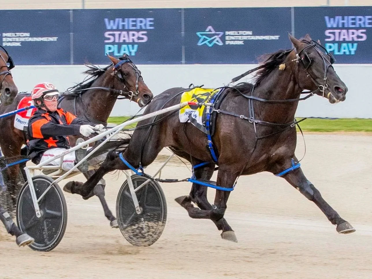 Stanley sets sights on TAB Eureka