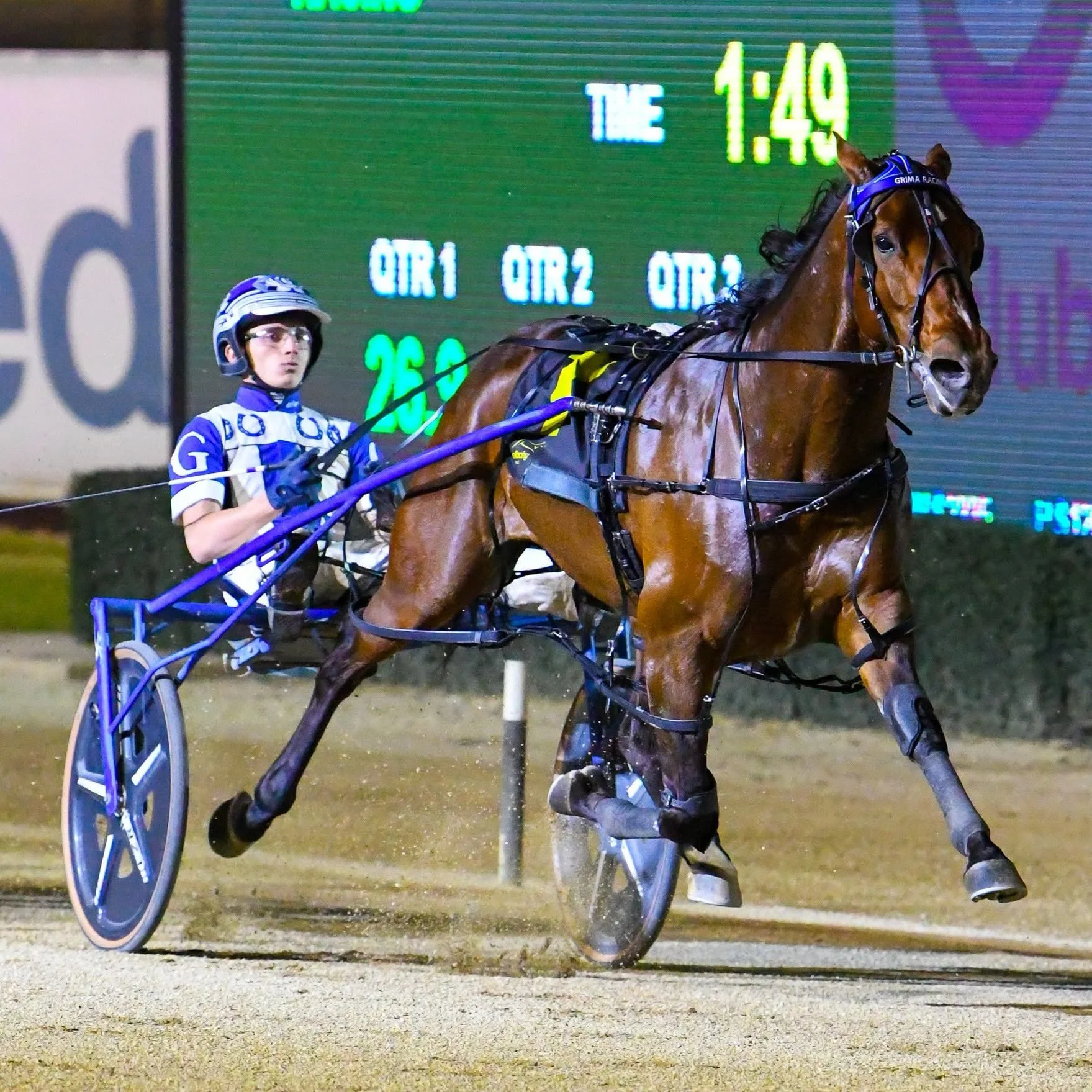 Rampant Moves Early To Secure Loucasso