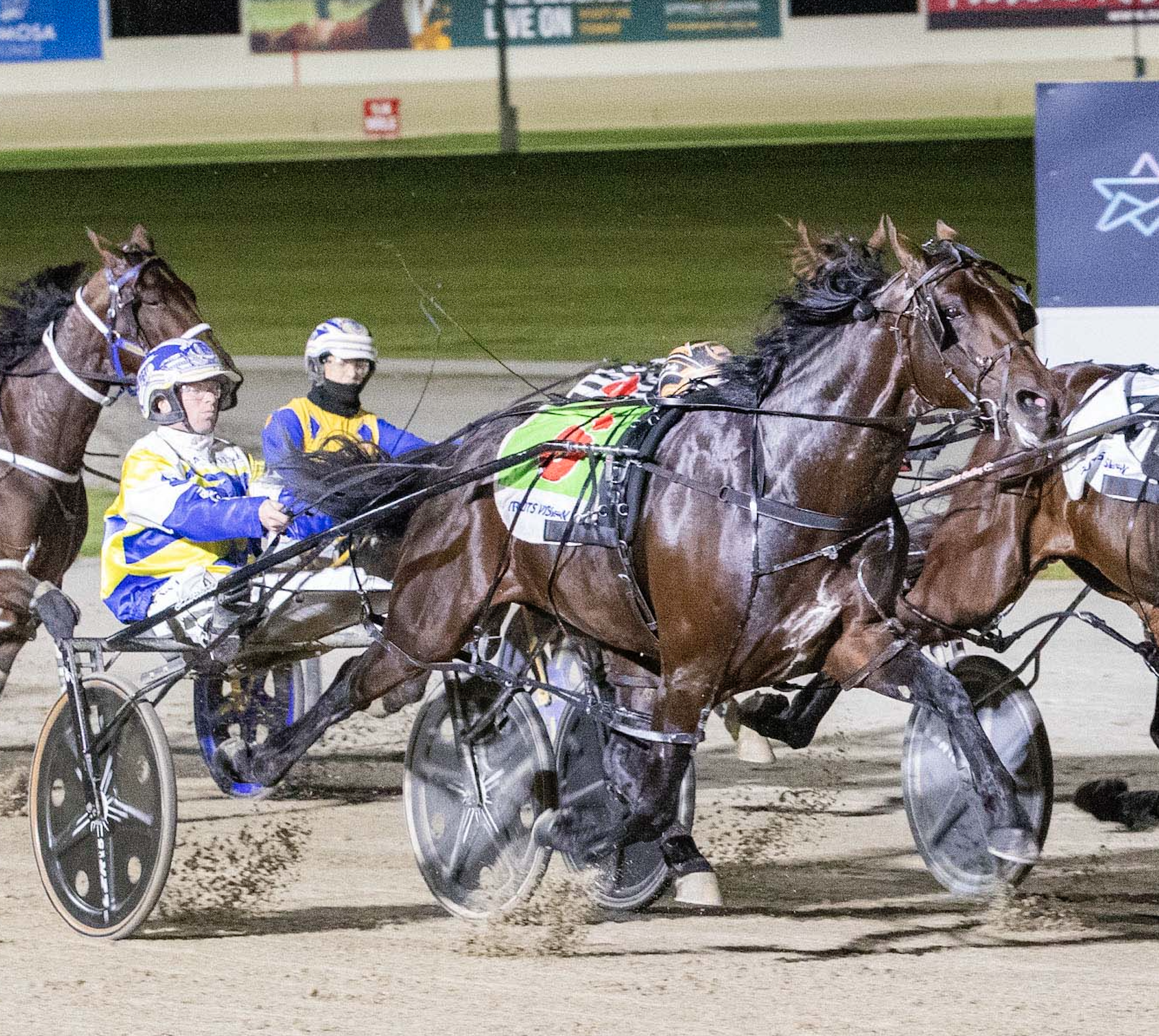 Team Zav weighing up TAB Eureka options