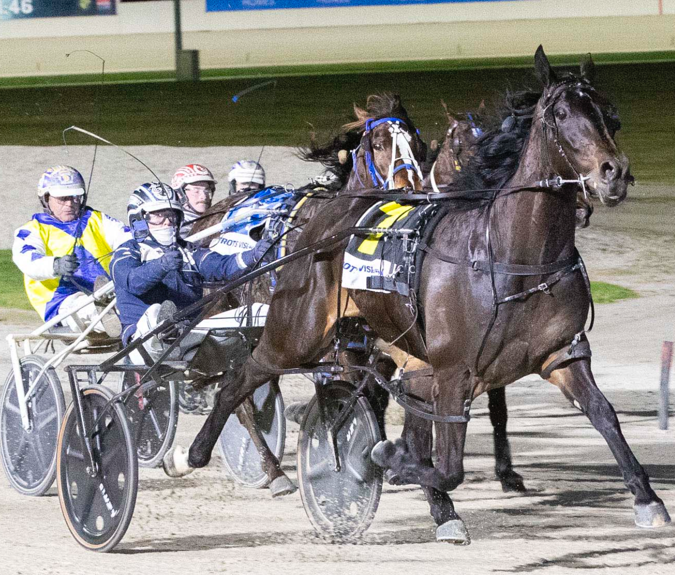 The Last Trip heads to SA in quest to impress for TAB Eureka slot