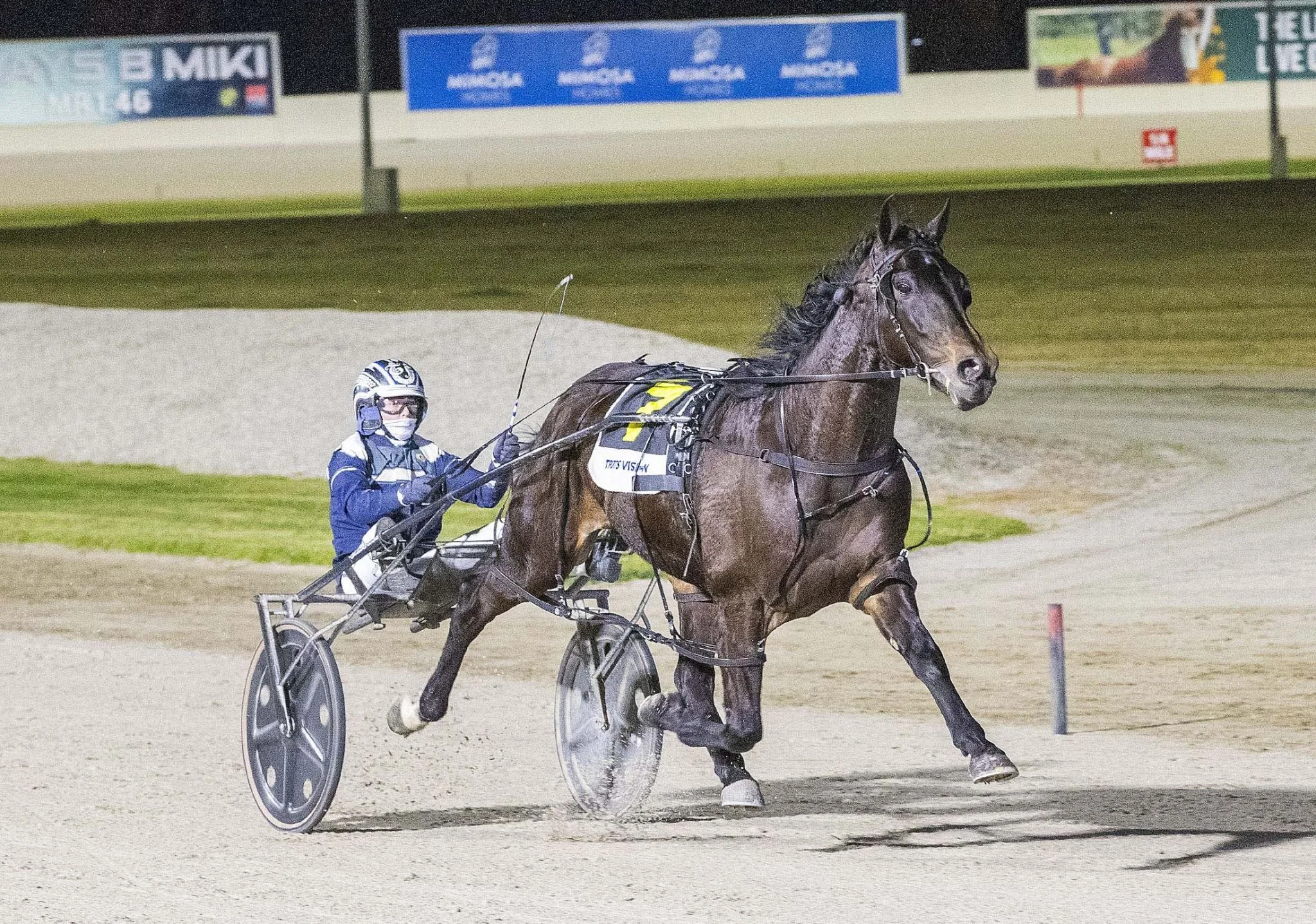 TAB Eureka spotlight on SA Cup