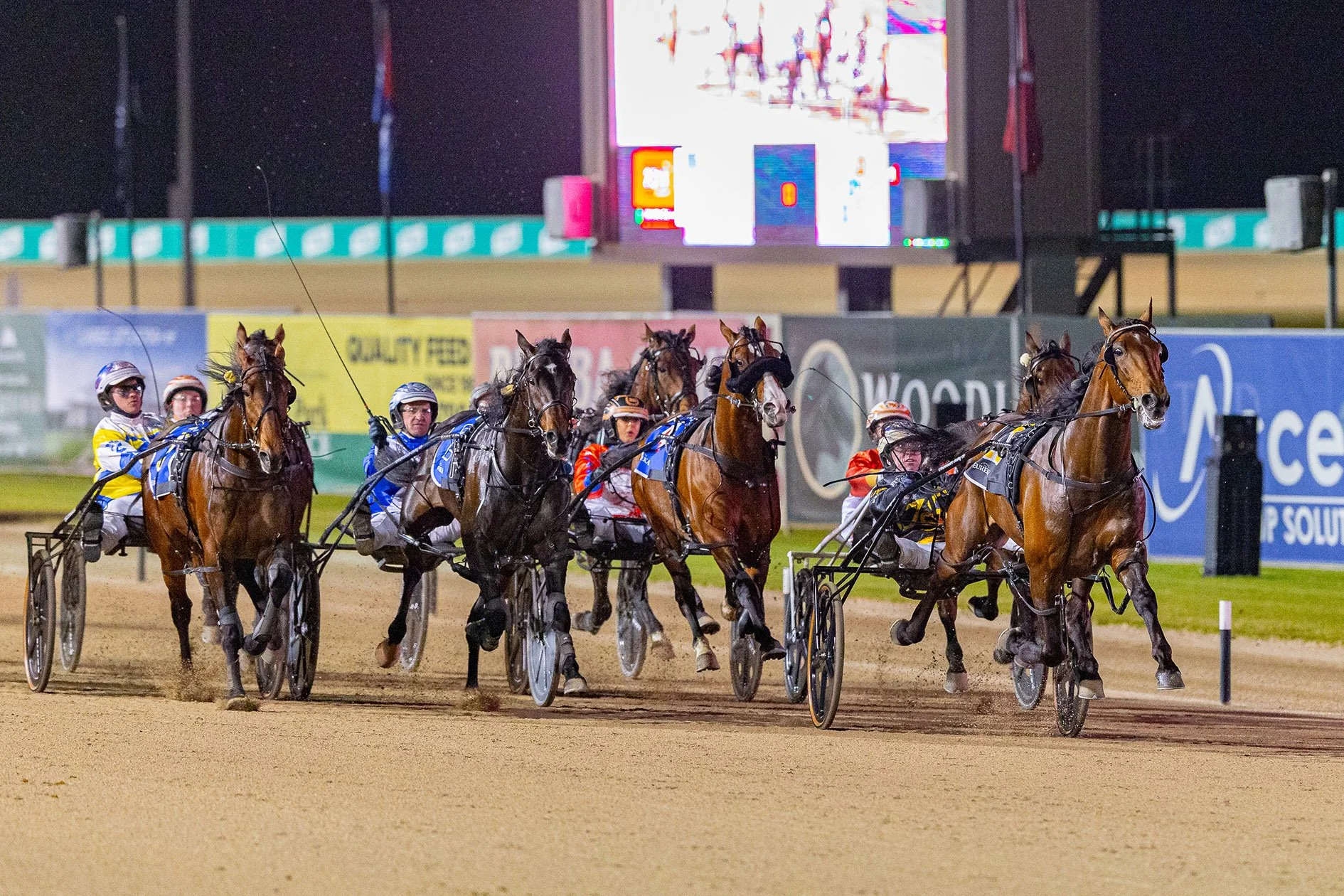 Hesitate joins Grimson stable in Tab Eureka shake-up