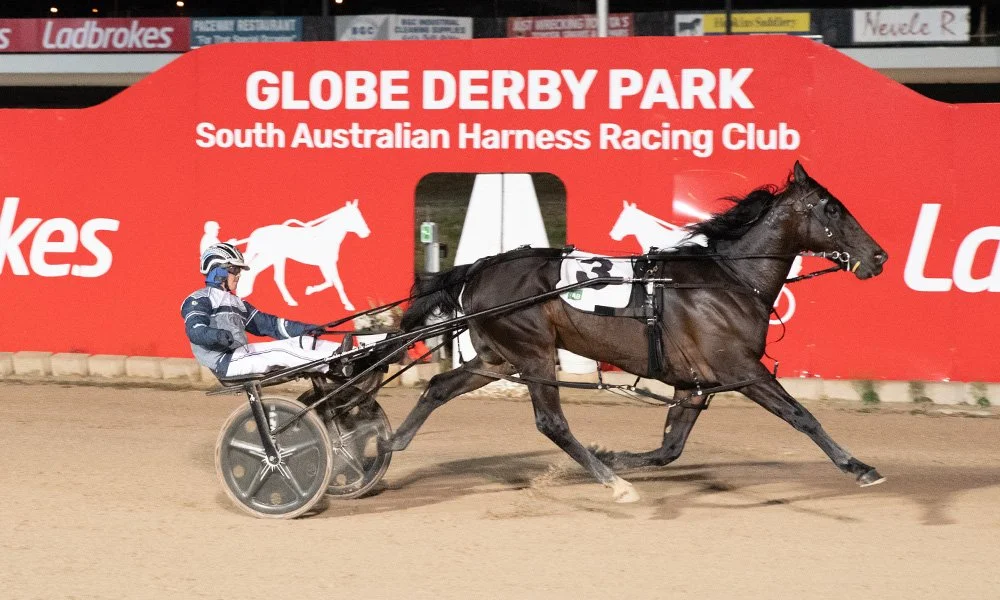 Victorians sweep SA features