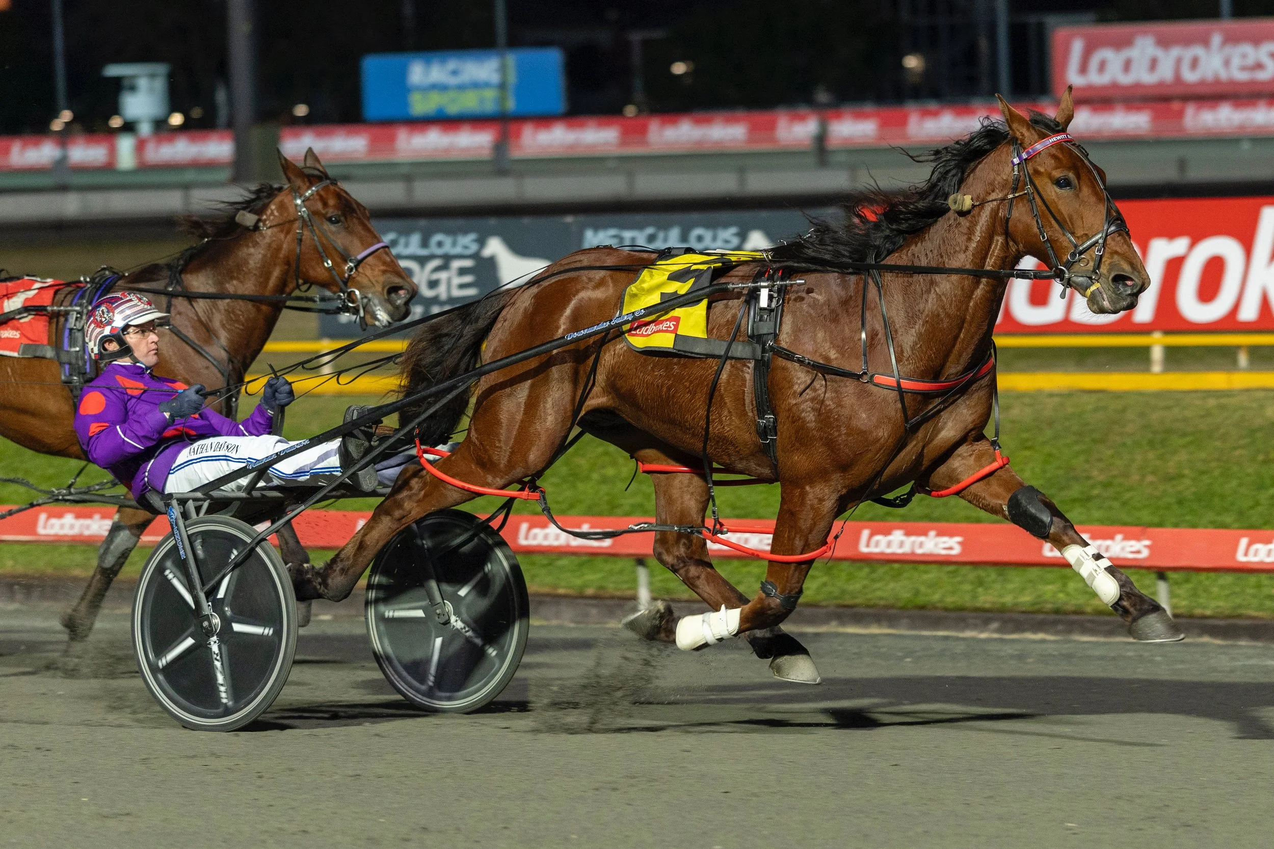 Hewitt’s Dynamic Duo Deliver — The Eureka Harness Race