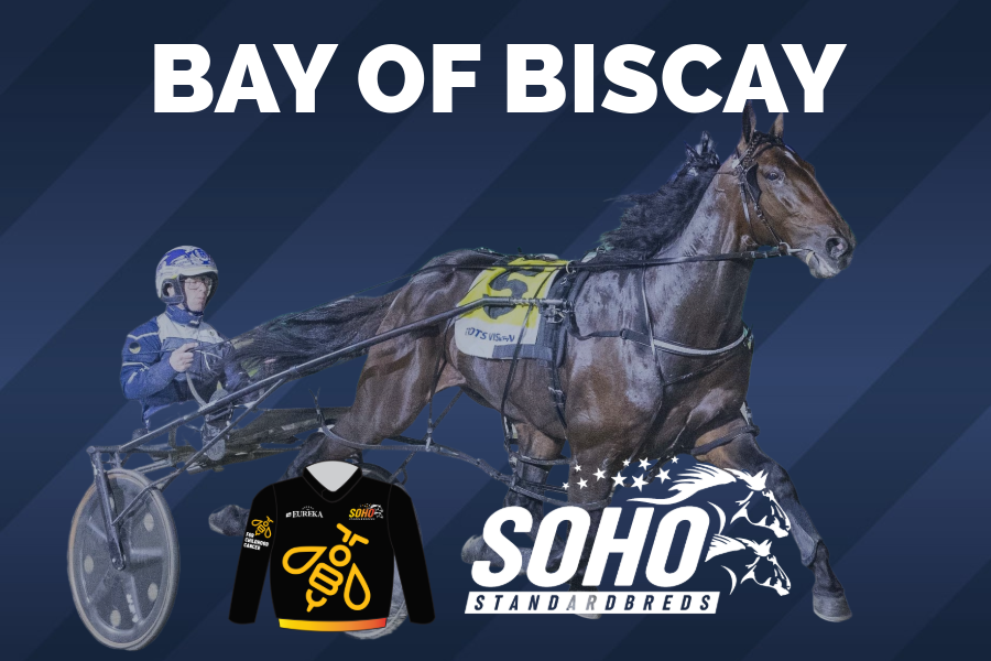 A harness horse race at Bay of Biscay with a driver wearing a black and yellow SOHO Standardbreds jersey and a brown horse pulling a sulky on a blue background with text indicating the location.