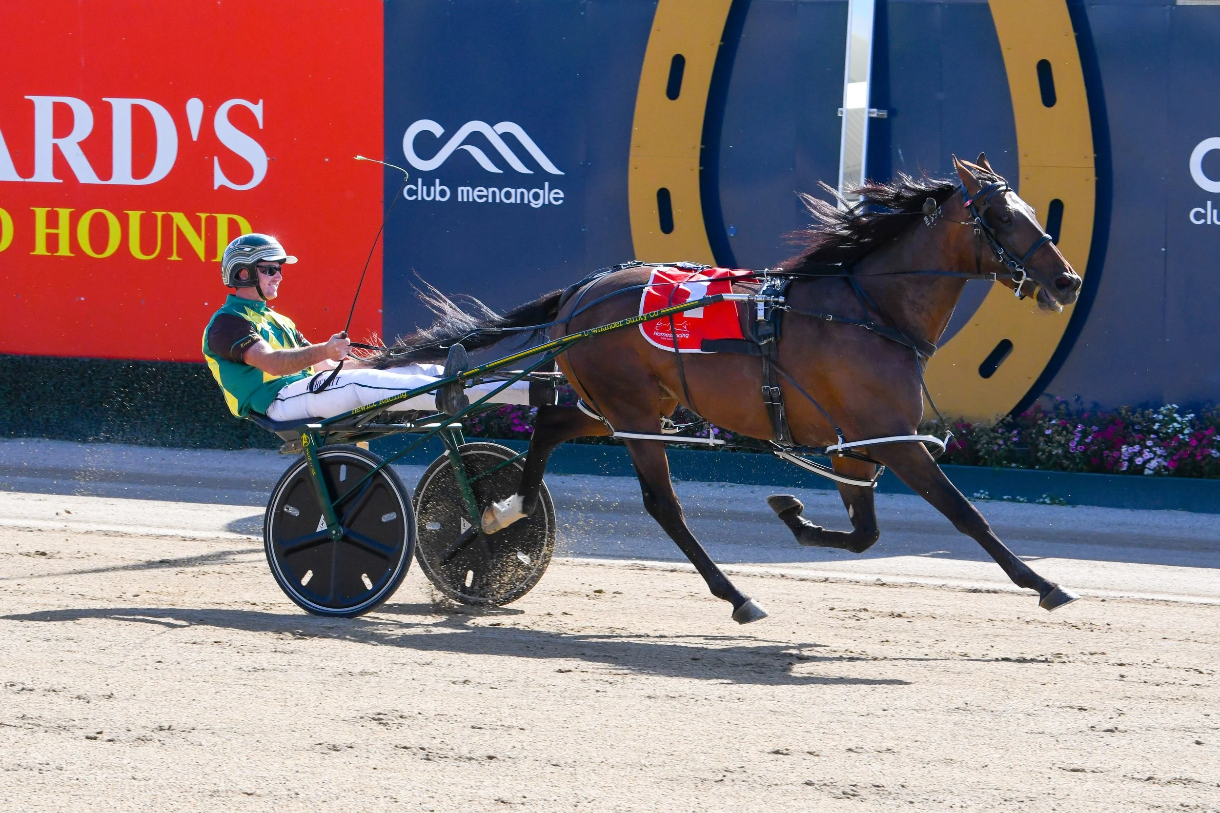 Karl Hewitt Racing The Breeder Series - The Ultimate Buzz — The Eureka Harness Race