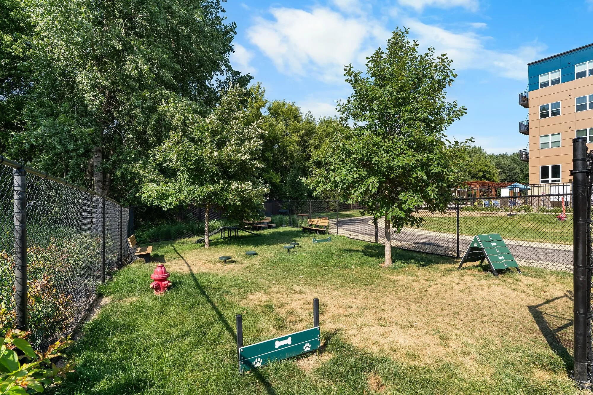 DogPark-2.jpg