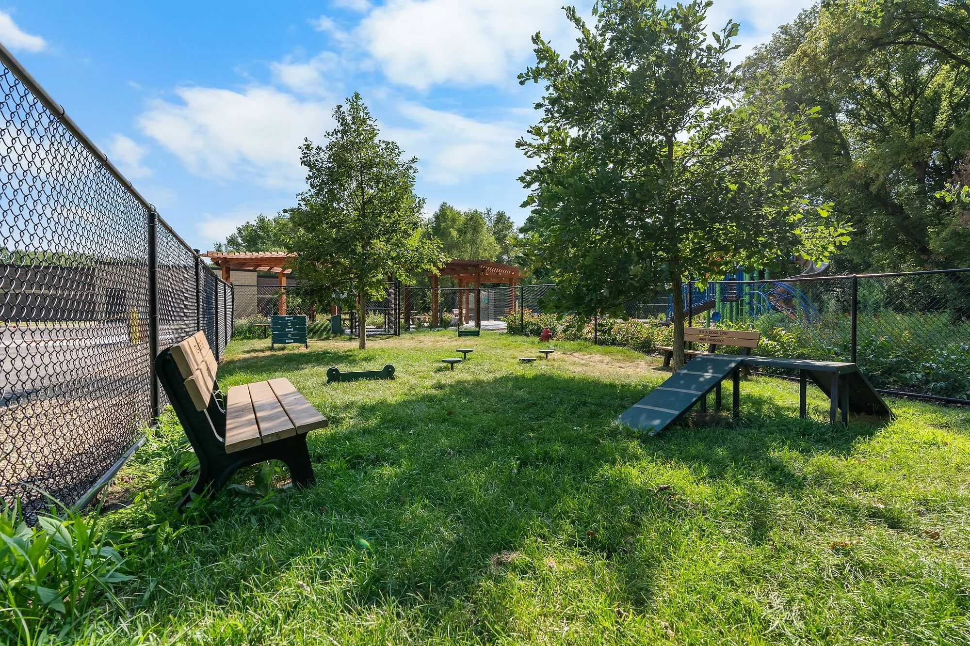 DogPark-1.jpg