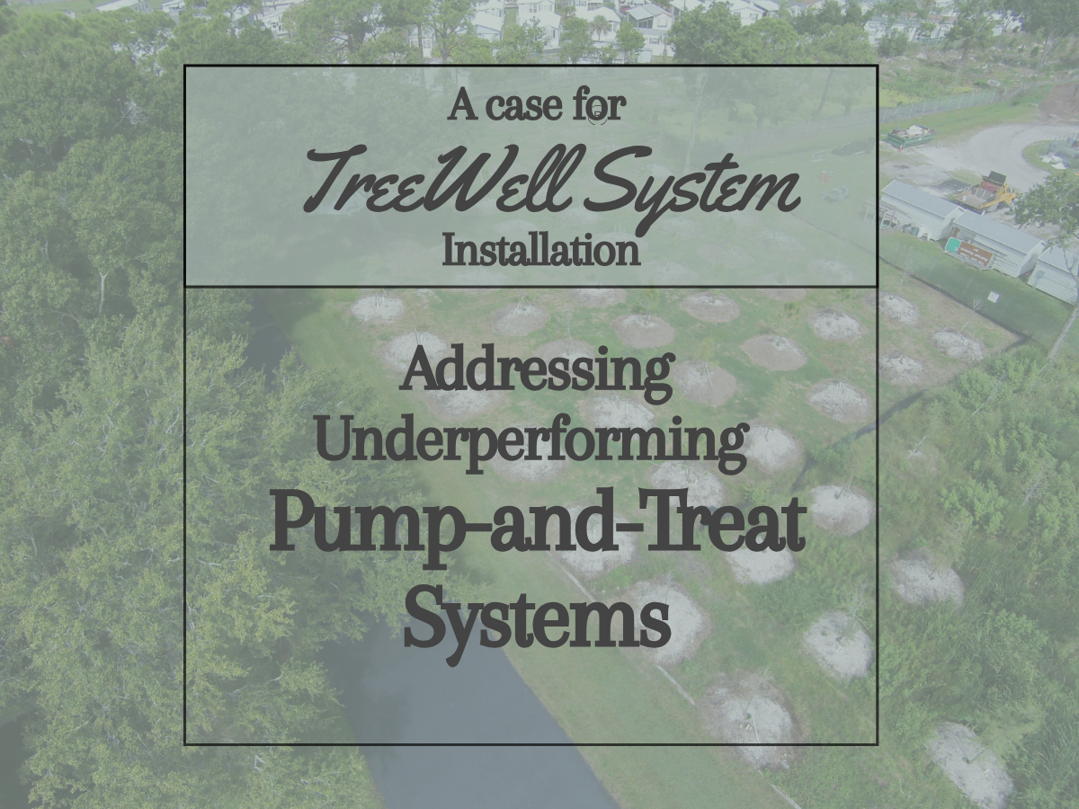 A Case for TreeWell® System Installation: Addressing Underperforming Pump-and-Treat Systems