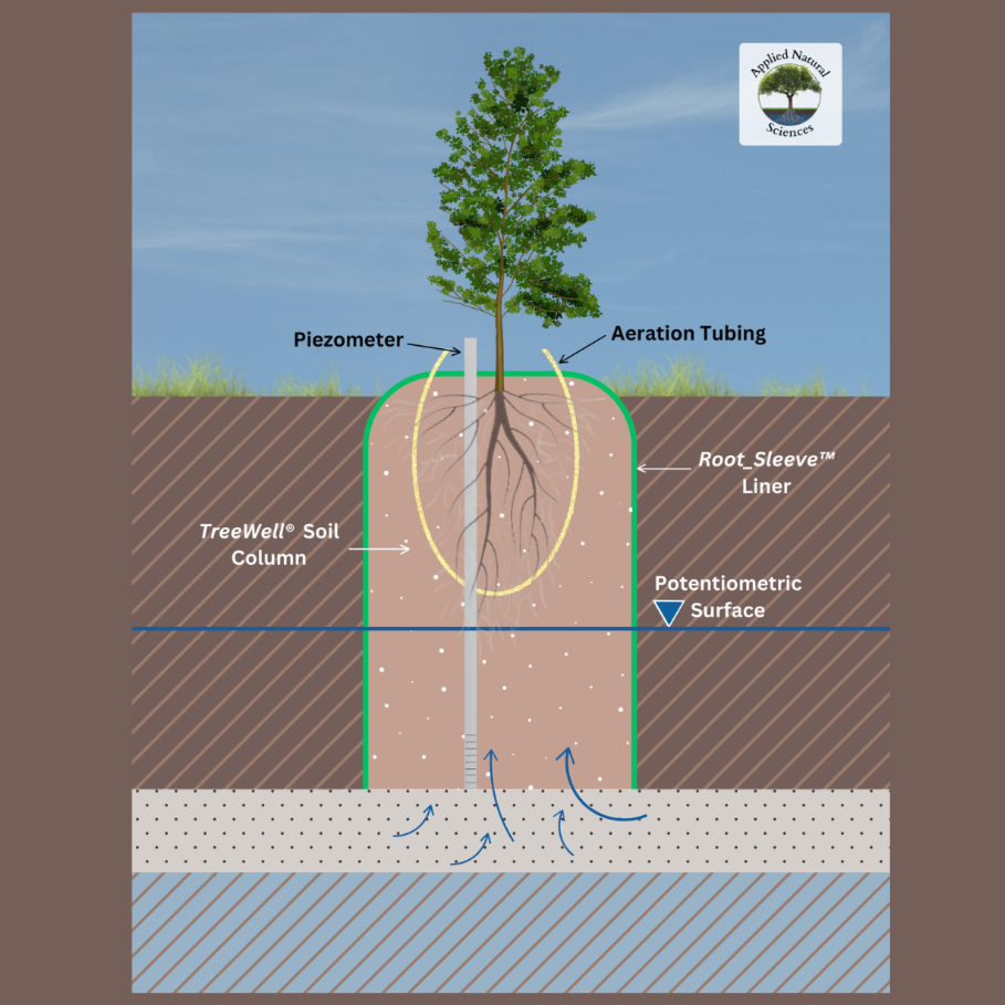 TreeWell® System FAQs