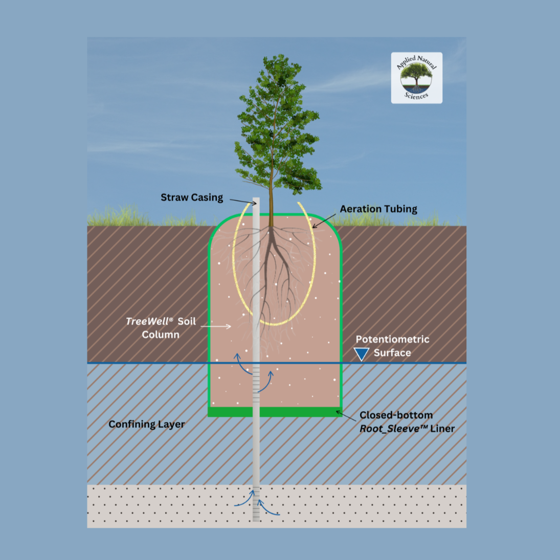 Straw TreeWell® Systems: Addressing Contaminated Groundwater at Extreme Depths