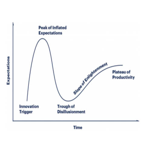 The Journey of Phytoremediation: From Hype to Proven Technology&nbsp;