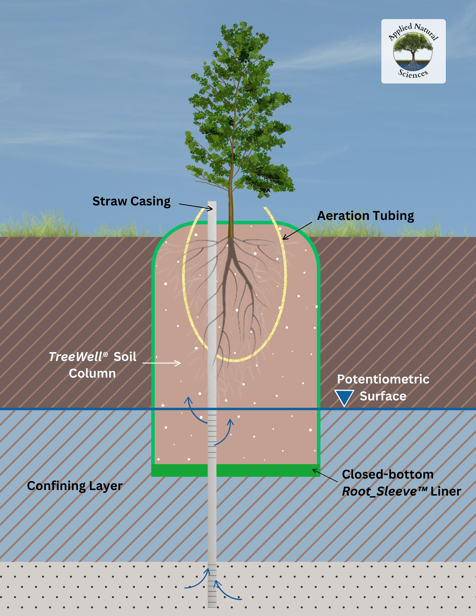 TreeWell Schematic depicting a Straw TreeWell Unit