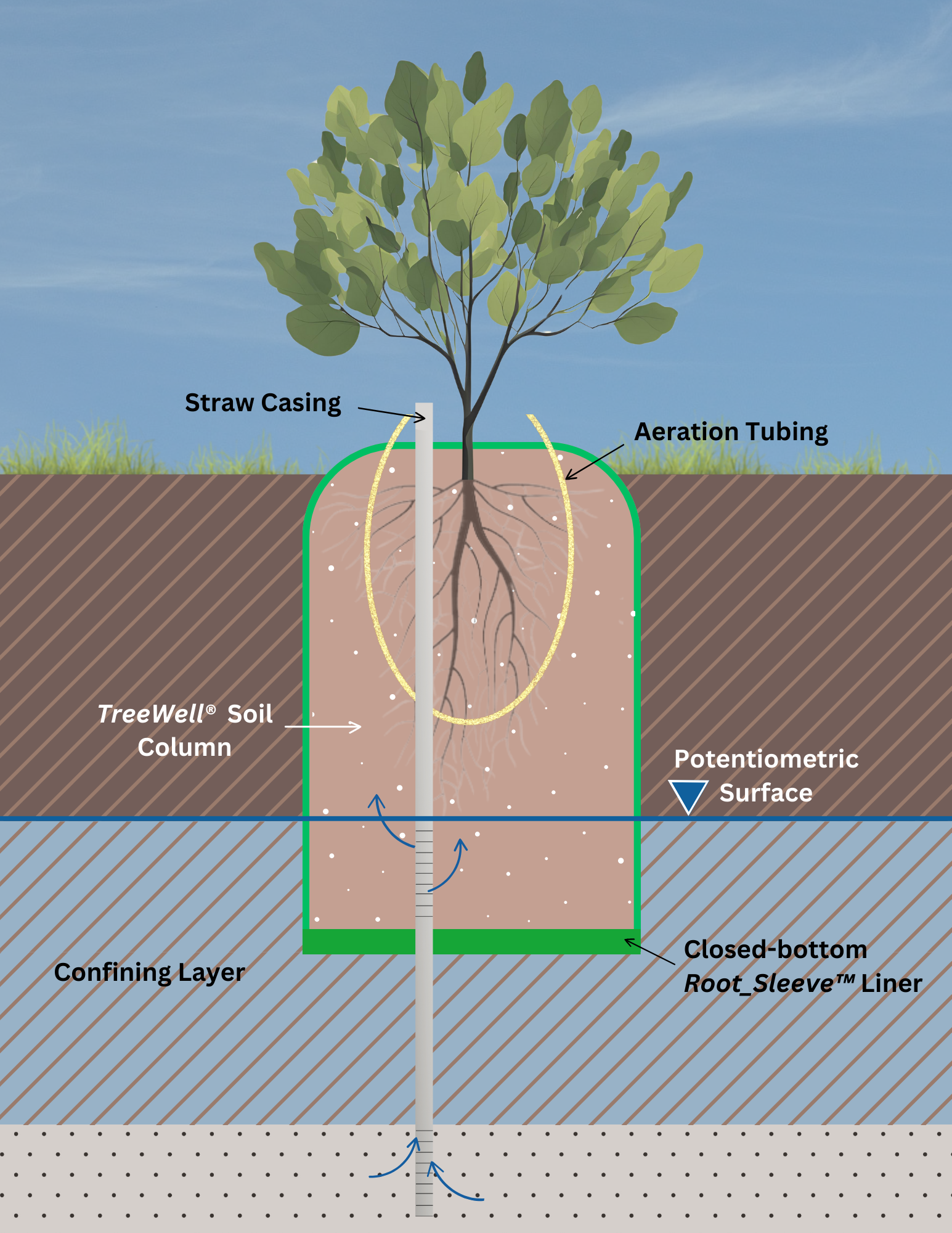 Tree Well Construction Detail TreeWell Technology — Applied Natural