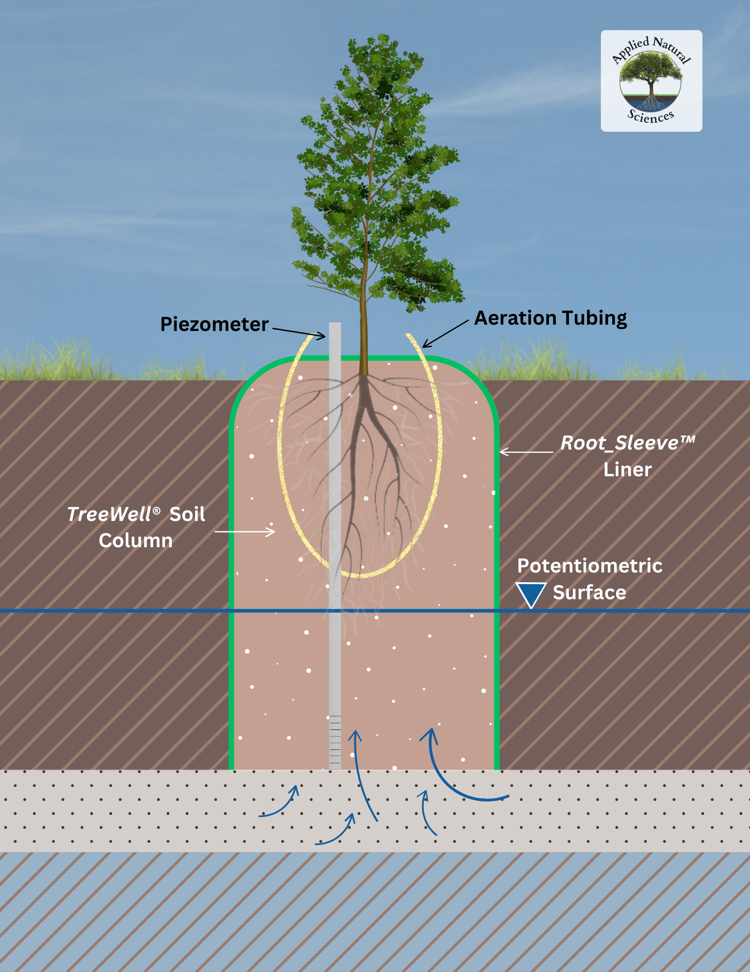 TreeWell Schematic showing a standard TreeWell Unit