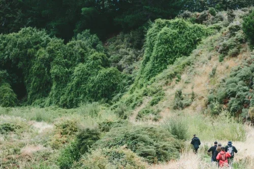 Are Anxiety And Depression Related To Each Other?