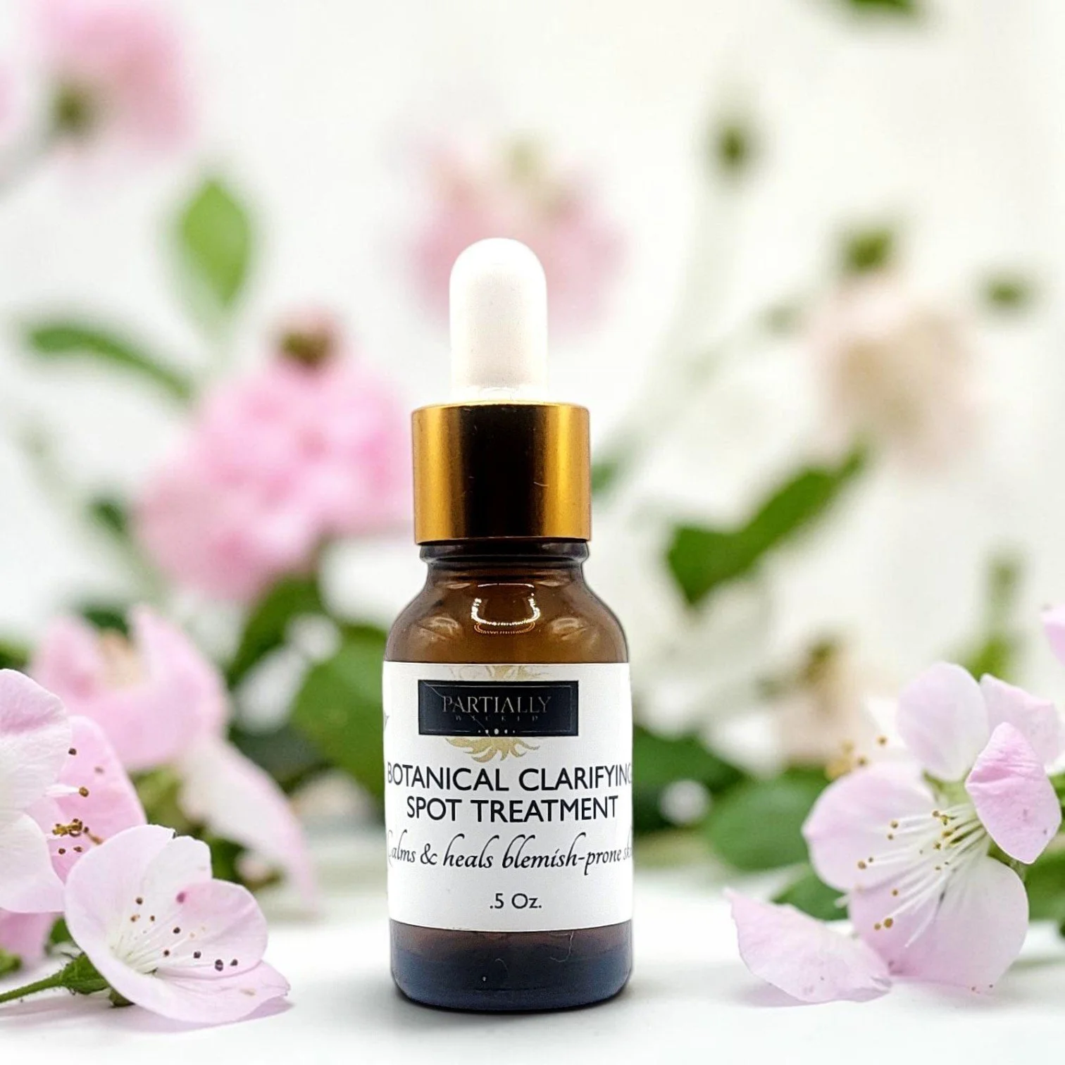 Botanical Clarifying Spot Treatment_new__pr.jpg