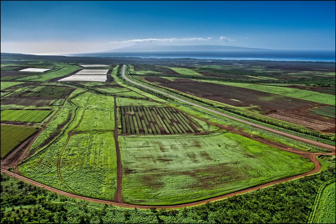 STOP EXPORTING OUR WEALTH. START INVESTING IN OUR PEOPLE.