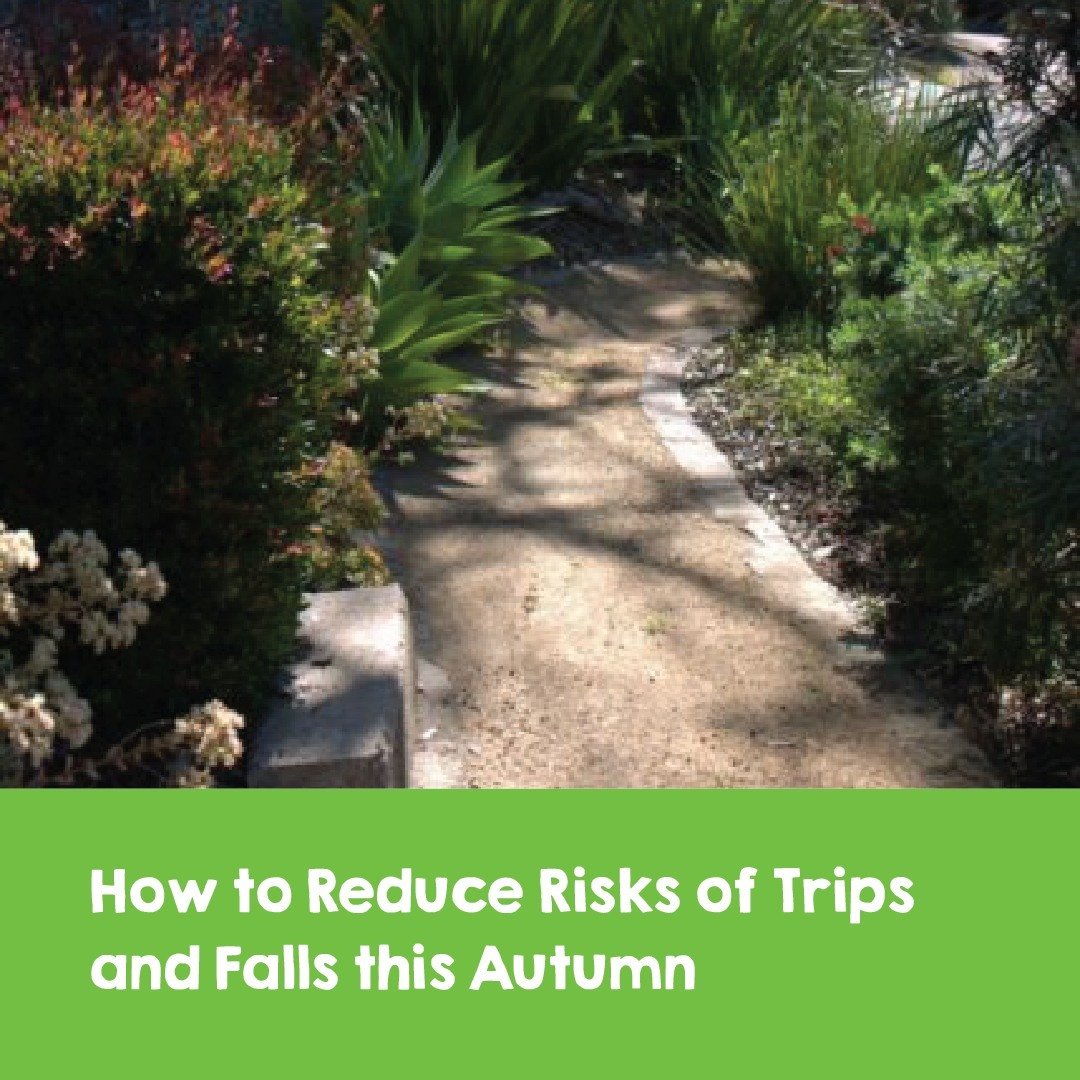 By dedicating some time to tidy up your garden in autumn, you can significantly reduce the risk of trips and falls.

In our latest post, we emphasise the importance of maintaining a tidy garden to prevent overgrowth and minimise the chance of slipper