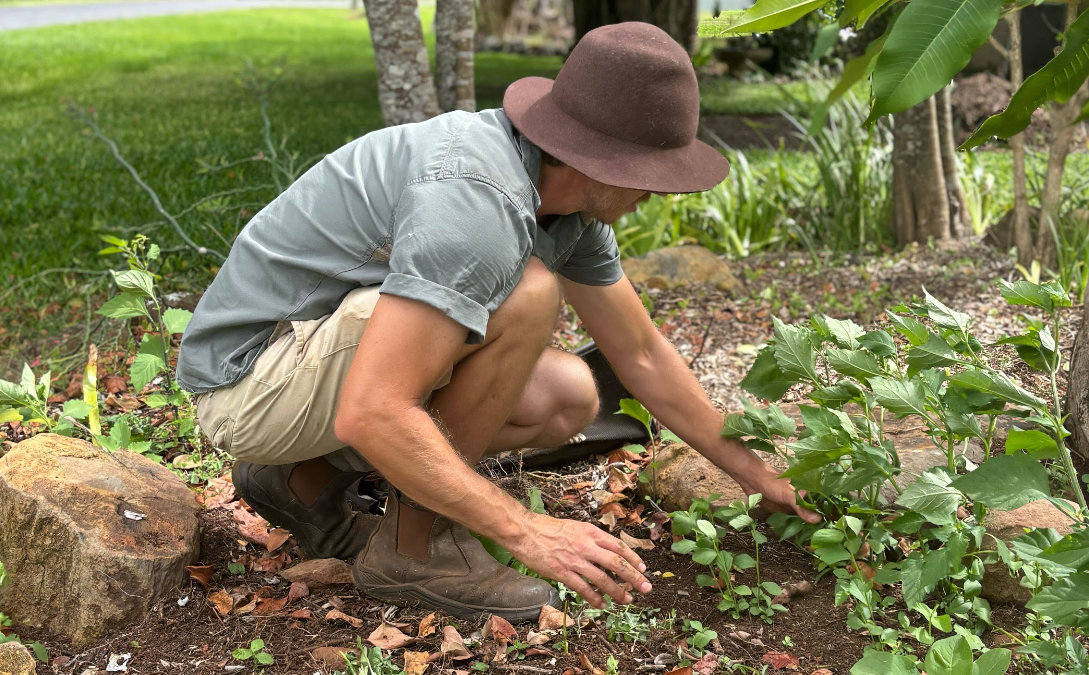 How to Take Care of Your Garden After Heavy Rain