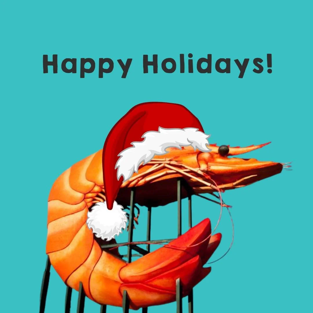 🎄 Happy Holidays from the Sistability Team! 🎄

As we wrap up another wonderful year supporting our community, we want to wish you a safe, relaxing, joy-filled holiday season. 💛✨

Our office will be closed from Monday 22 December to Friday 2 Januar