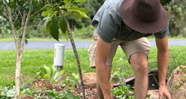 Sistability gardener picking out weeds bending over