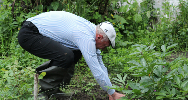 Can Gardening Be Funded Through Support at Home?