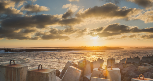 Social Procurement: How Working with Sistability Creates Real Community Impact