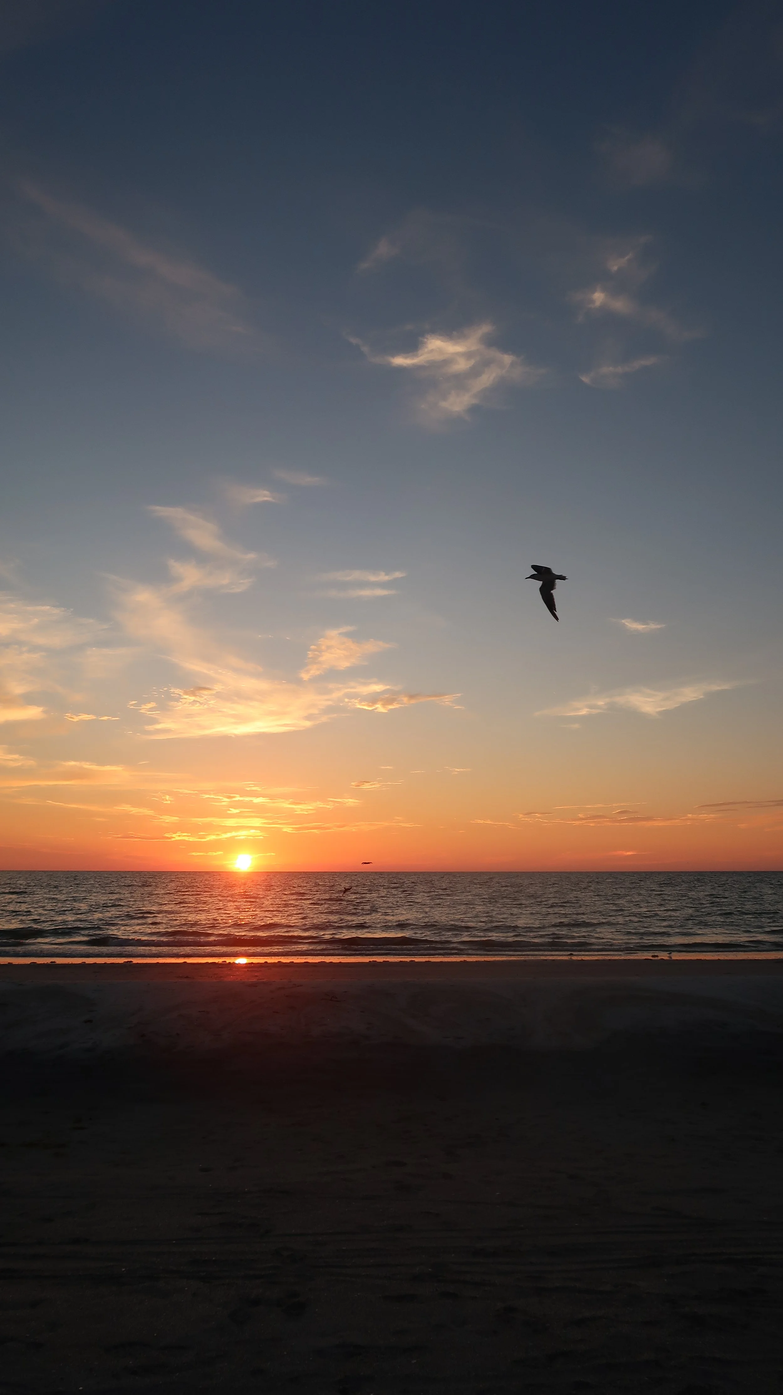 Indian Rocks Beach, Florida