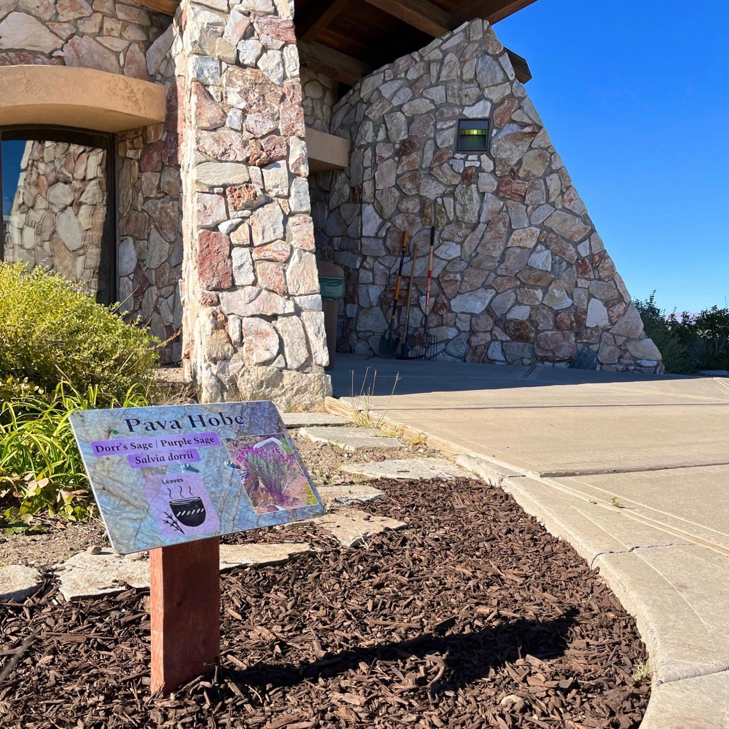 This installation is one of three native plant gardens that will be installed at the Pyramid Lake Museum. 🌾

The first garden, installed in May 2022, showcases a Mountain theme of plants native to northern Nevada. Each plant comes with educational s