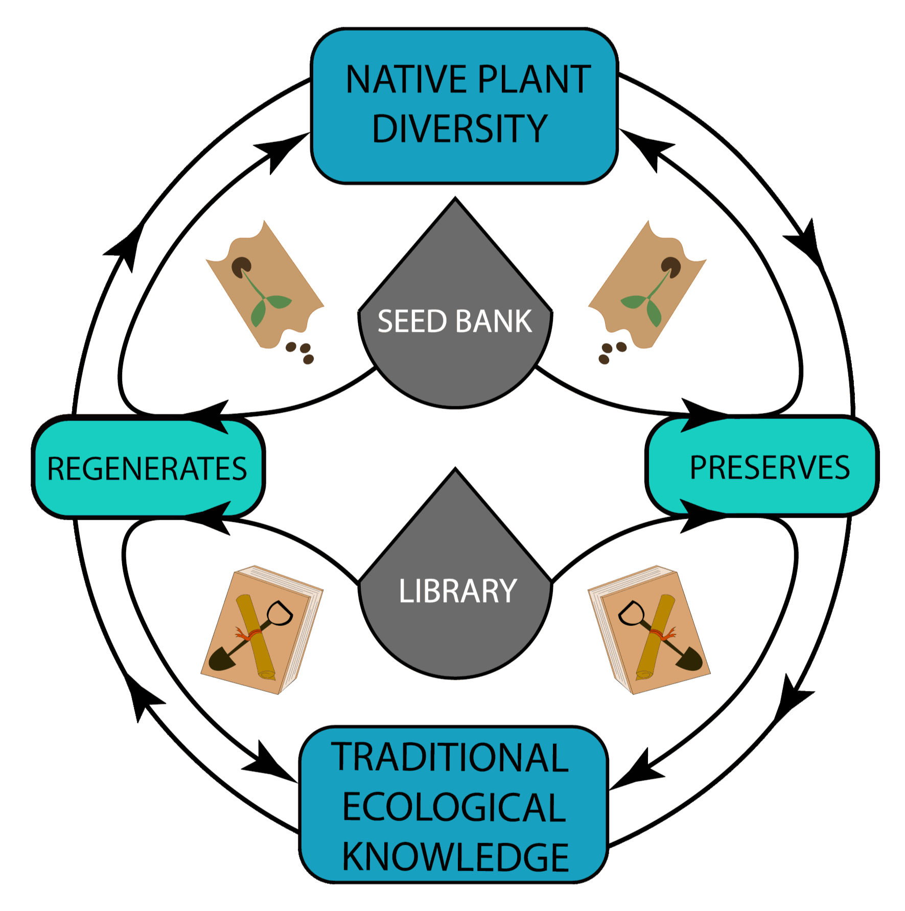 The seed bank and library are a dynamic bridge between the past, present, and future. 