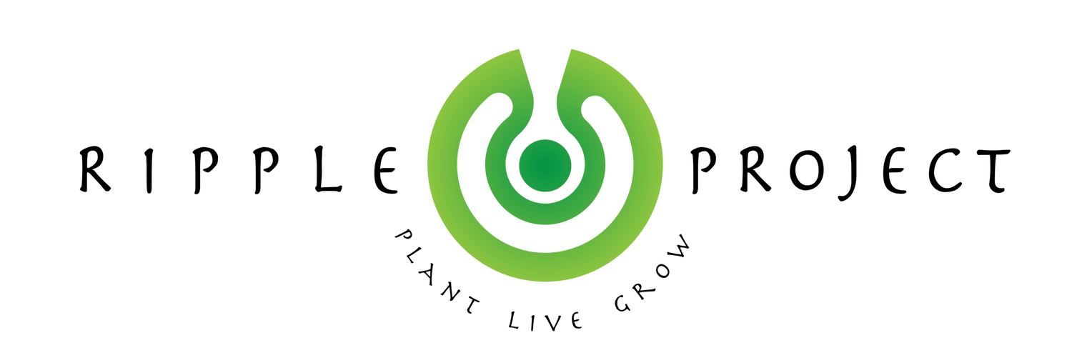 Ripple Project