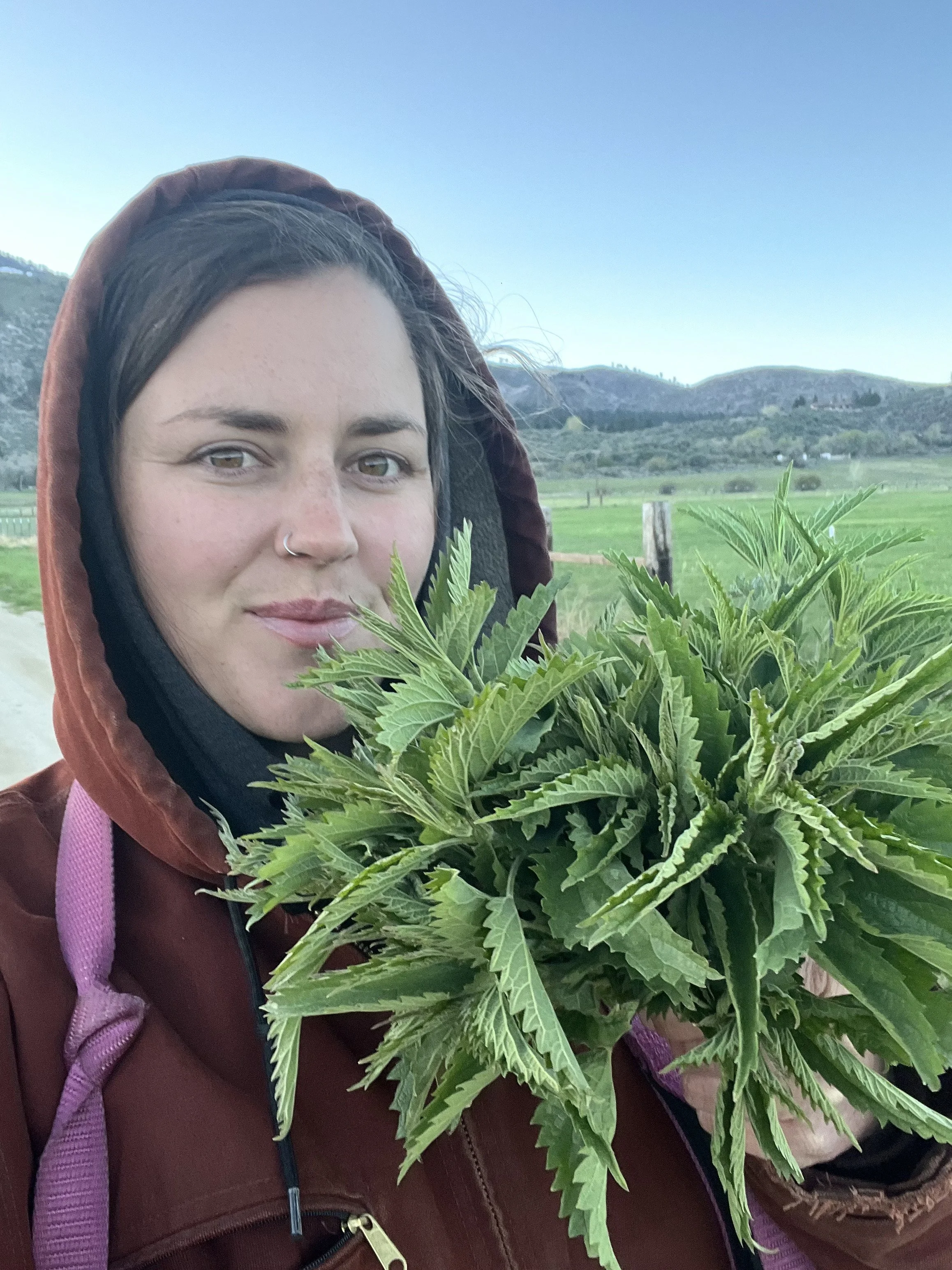 Christin Cohee
Horticulture