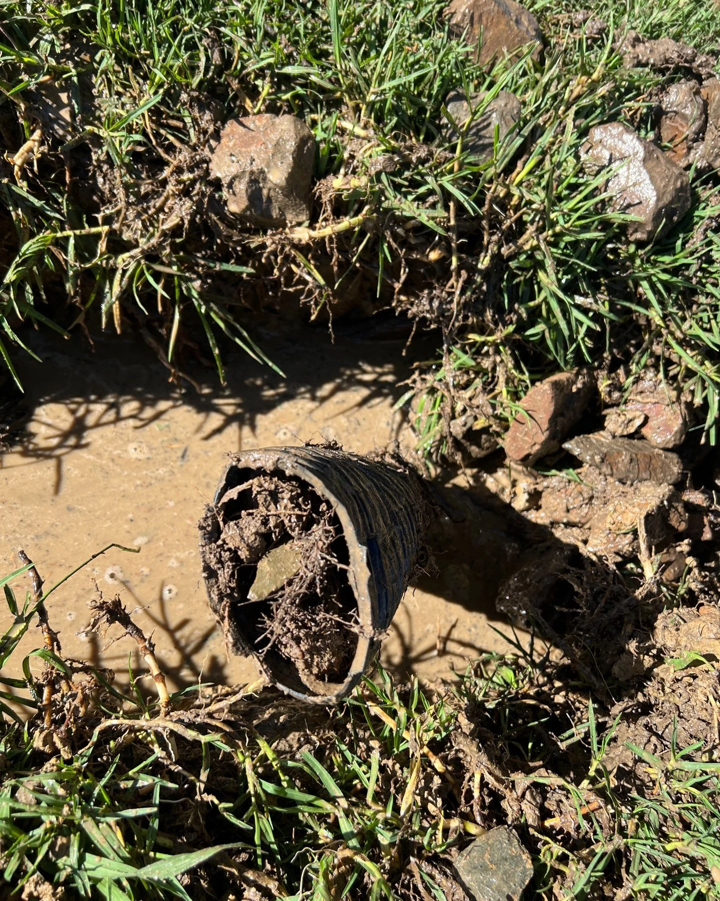 Ag drain repair in Vino Country 🍷

The original was full of roots and needed a complete upgrade. 

Progressive Plumbing Group. Maintenance plumbing Yering.