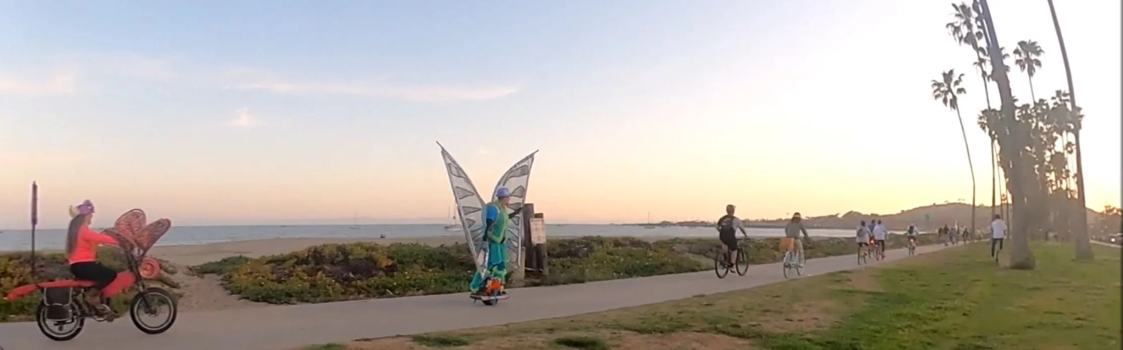 bike delight thumbnail.JPG