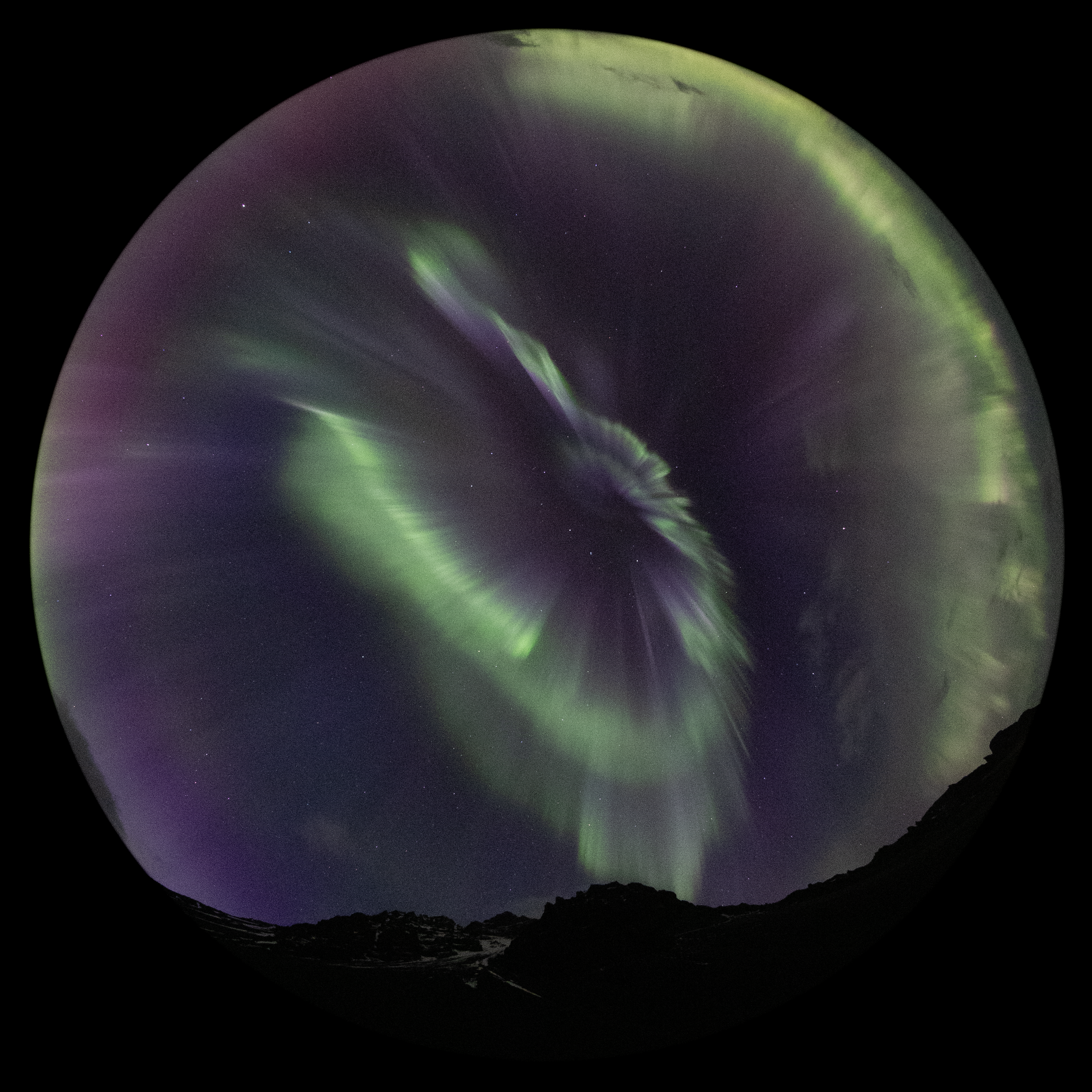 R6AB8233_RevA.png
