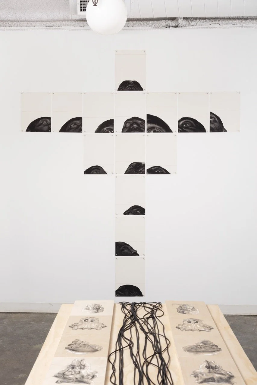 9-23-2134511 Large.jpeg