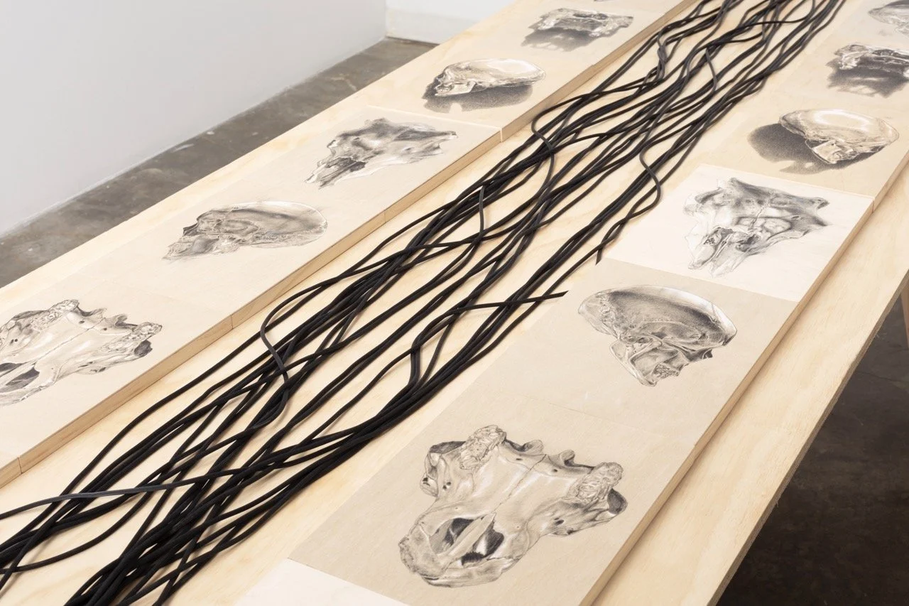 9-23-2134525 Large.jpeg