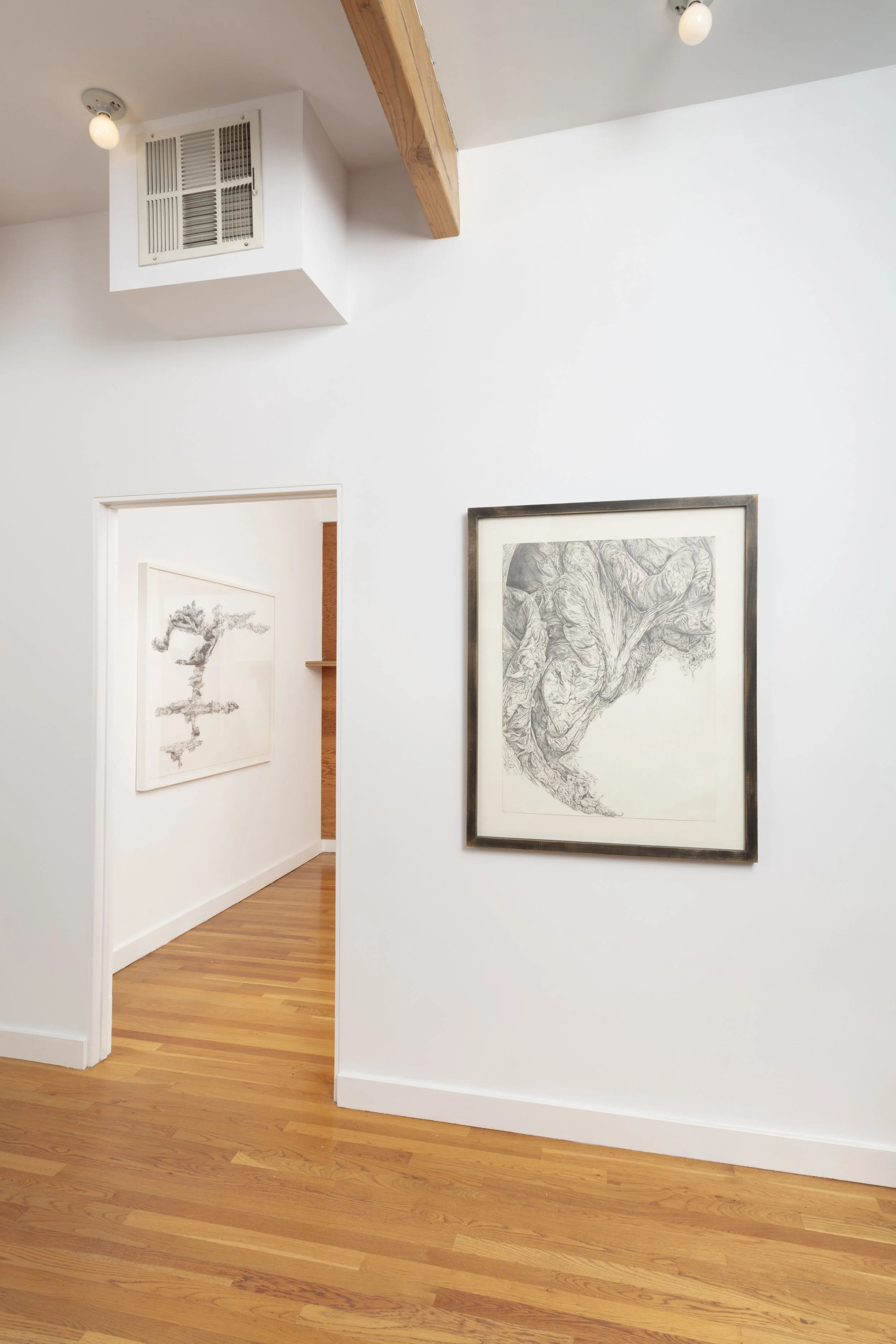 F_2-9-2623063 copy.jpg