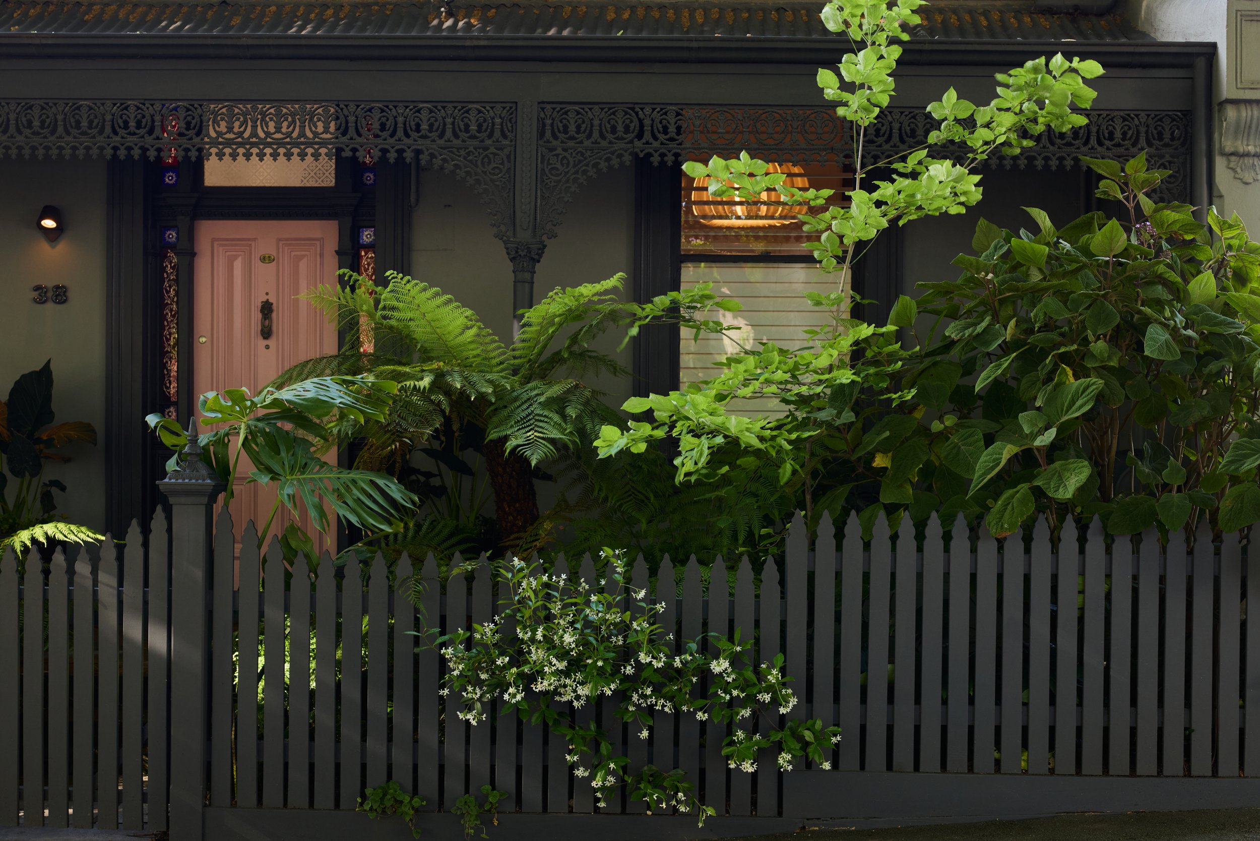 241114_EugeneGilligan_NorthMelbourne_045.jpg