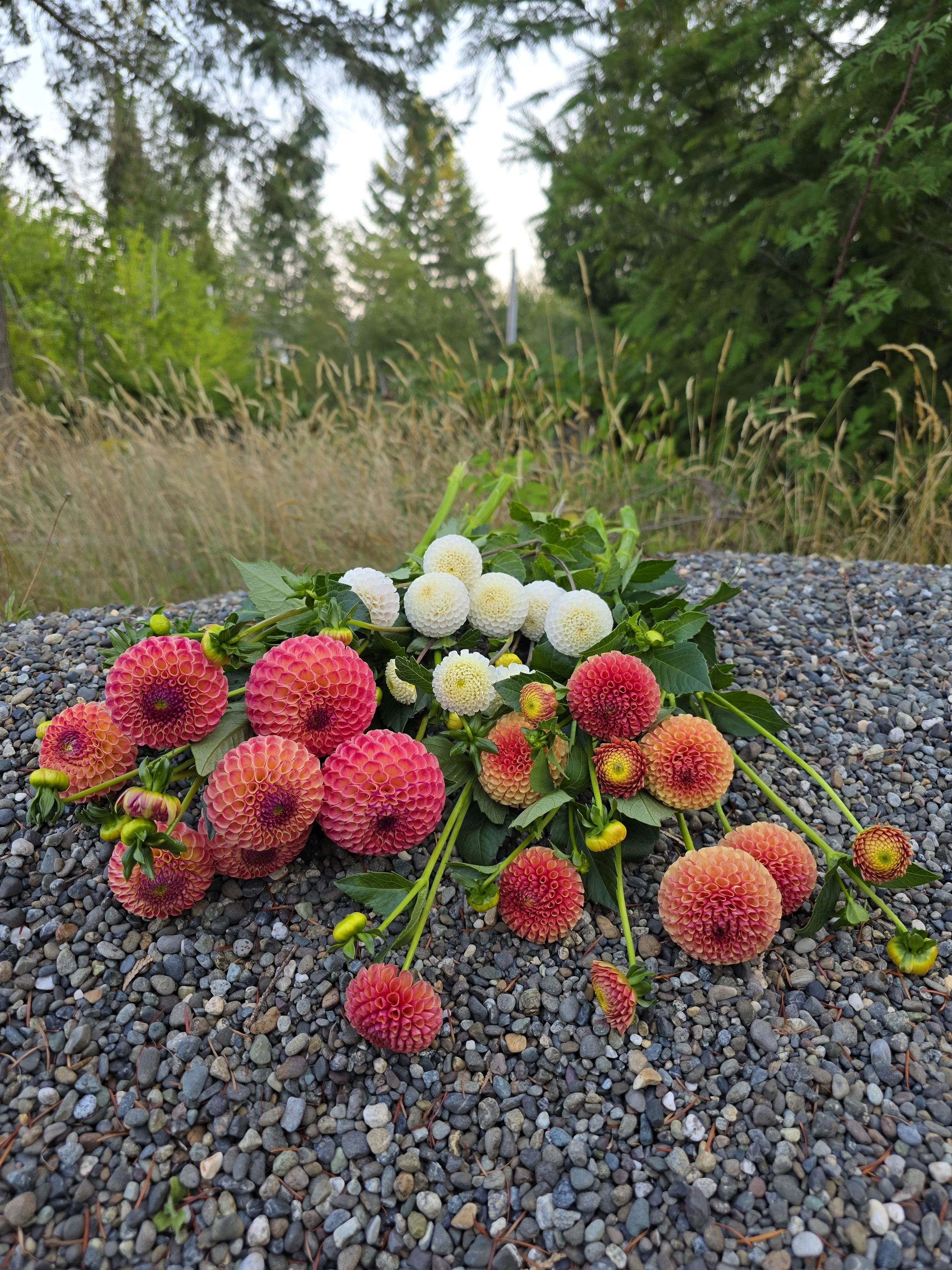 20250901_184343.jpg